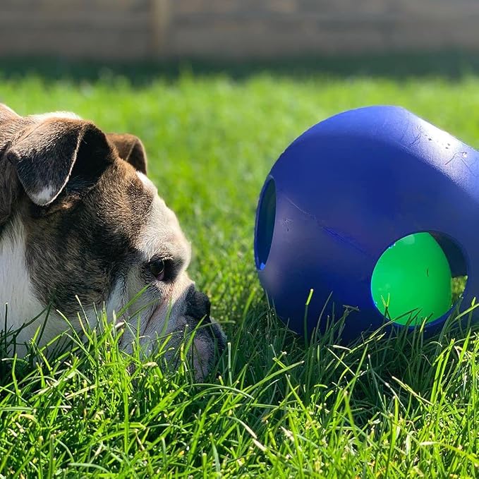 Jolly Pets Teaser Ball Interactive Dog Toy, 8 in Large, Blue