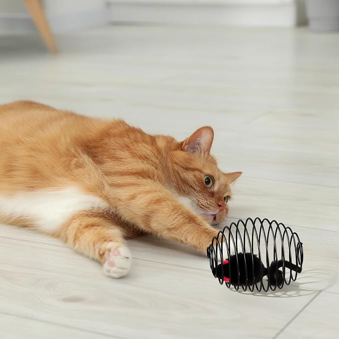 Jecery 5 Pcs Cat Toys Spring,Mouse,Black