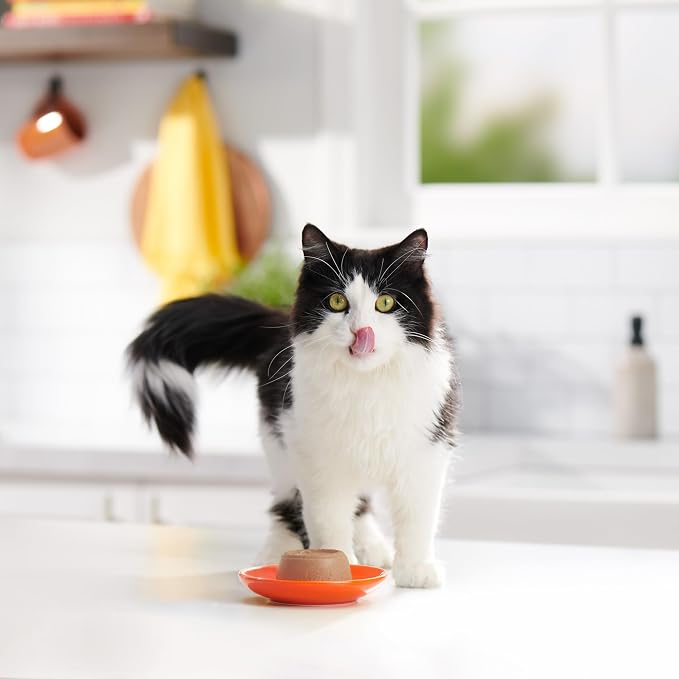 Meow Mix Paté in Gravy, Wet Cat Food with Real Chicken & Beef, 12 Cups