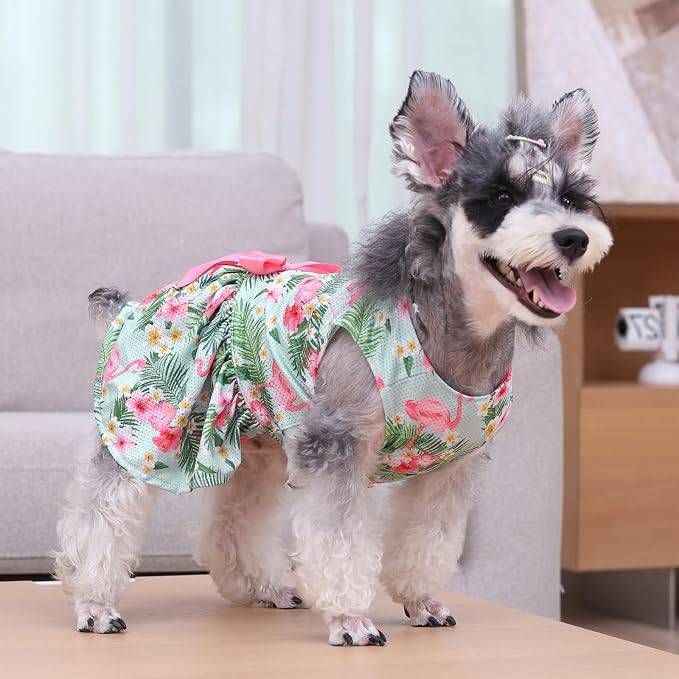 CuteBone Dog Mesh Dress Puppy Sundress Pet Outfit Summer Fashion for Small Dogs Girl Cat Clothes
