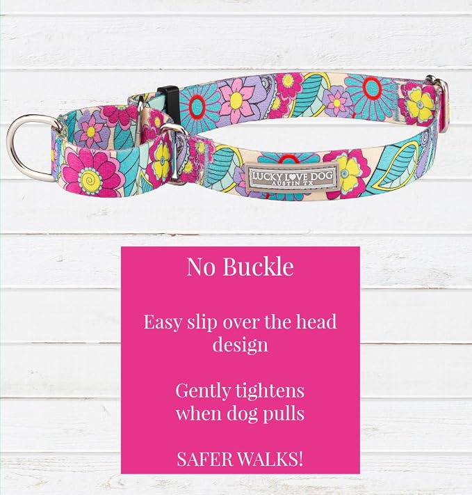 Lucky Love Dog Martingale Collar & Leash Set No Slip Cute – Caroline, Large