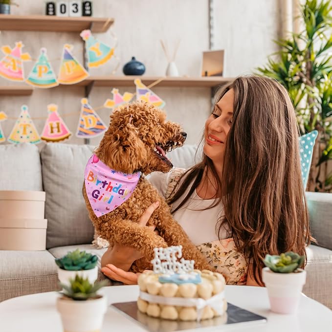 Dog Birthday Bandana Set, Dog Birthday Party Supplies | Puppy Boy Girl Birthday Party Hat with Numbers for X-Small, Small and Meidum Puppy (Pink)