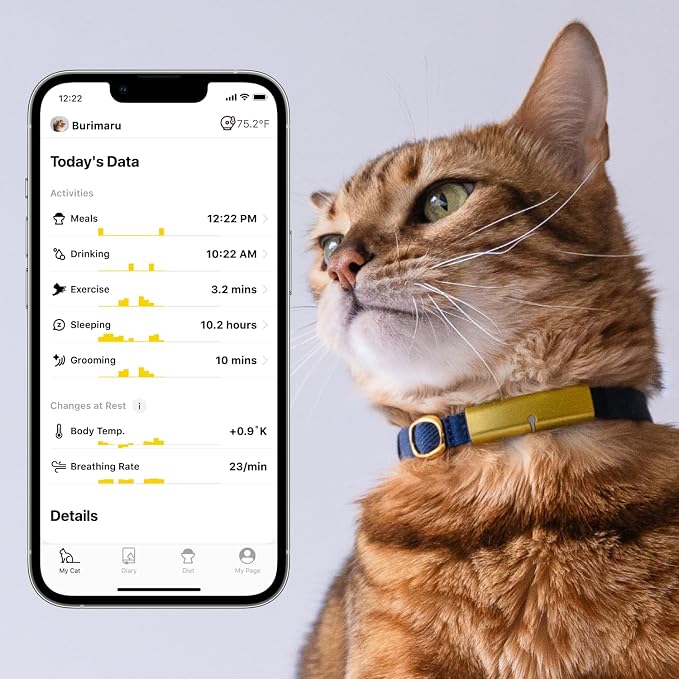 Health Tracker for Cats - Smart Cat Collar with Safety Breakaway Buckle for Indoor Cats, Wellness Alerts, Real-time Monitoring (Kimono (Sakura -Night-),XL)