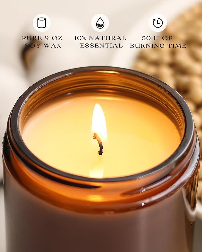 AOOVOO Apple Cinnamon Candle - 9 oz Scented Candles, Aromatherapy Candle, Soy Candle for Home Scented