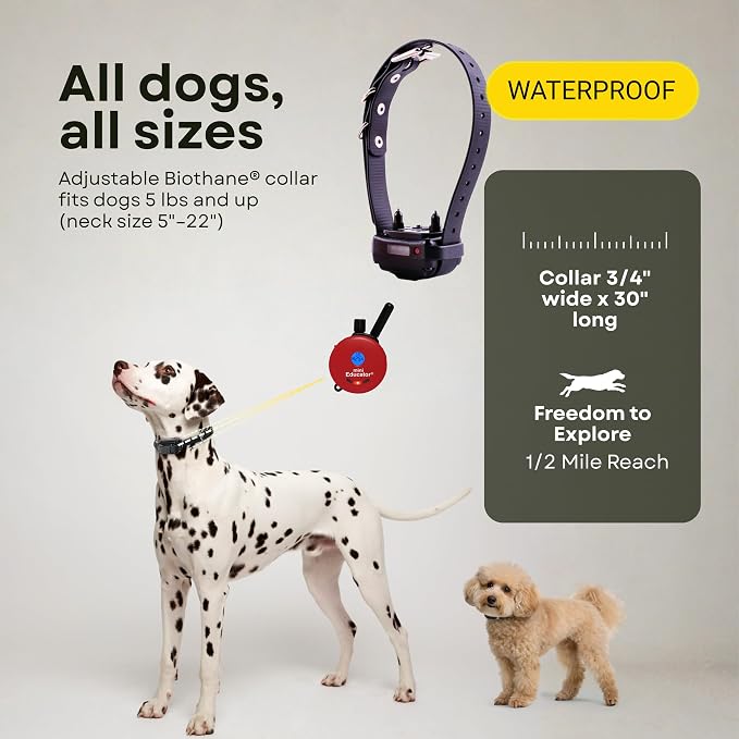 E-Collar ET-300 / ET-302 Dog Training Collar System with Remote - 1/2 Mile Range - Waterproof, Vibration, Sensation - Includes eOutletDeals Pet Towel (1 Dog System - ET-300 RED)
