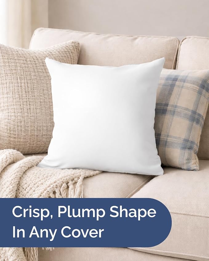 20x20 Pillow Inserts, Throw Pillows for Bed, Sofa & Couch - Set of 2, White | Decorative Bed Throw Pillows, Soft, Supportive & Fluffy Cushion Inserts, Sham Stuffer, Down Alternative, Machine Washable