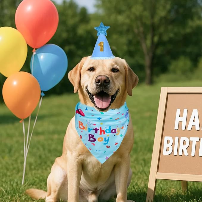 Dog Boy Birthday Party Hat,Dog Birthday Party Supplies,Dog Bandana | Dog Birthday Bandana Set with Numbers for Gaint and Extra Large Dogs (Blue),Dog Birthday Decorations,Dog Birthday Hat