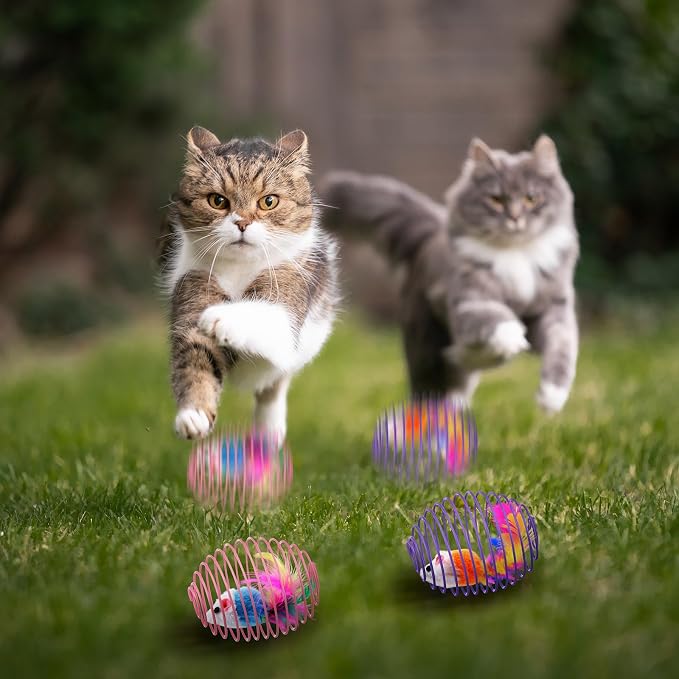 Jecery 25 Pcs Cat Toys Spring,Mouse and Bell,Colorful
