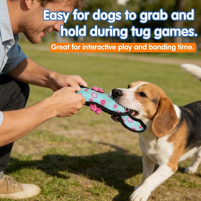 Squeaky Dog Toys for Small & Medium Dogs, Turtle & Lobster Set