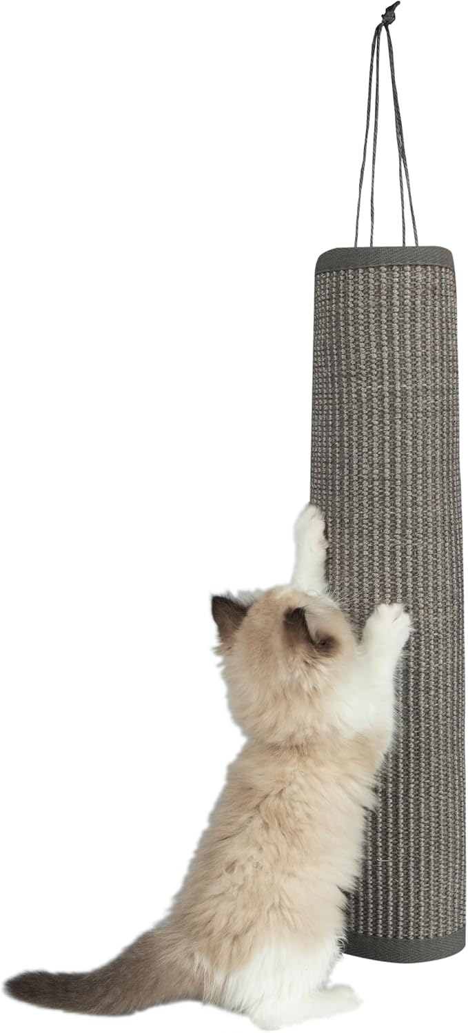 Best Pet Supplies Catify Hanging Cat Scratcher - Log, Gray | Cat Door Scratcher, Scratching Mat, Heavy Duty Sisal, Furniture Protector, Safe for Paws, Non-Slip, Durable, Multi-Functional