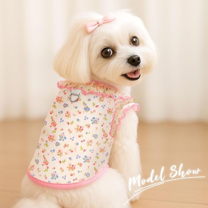 2 Pack Dog Shirt for Small Dogs Breathable Summer Clothes with Ruffled Sleeves Dog Tshirt Stretchy Pet Tee for Puppies Sphynx Cats Kitten Frenchie Dachshund
