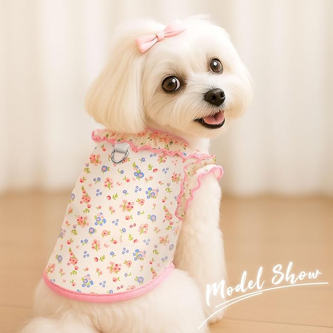Dog Shirt for Small Dogs Breathable Summer Clothes with Ruffled Sleeves Dog Tshirt Stretchy Pet Tee for Puppies Sphynx Cats Kitten Frenchie Dachshund(2pack,Pink&Blue,Large)