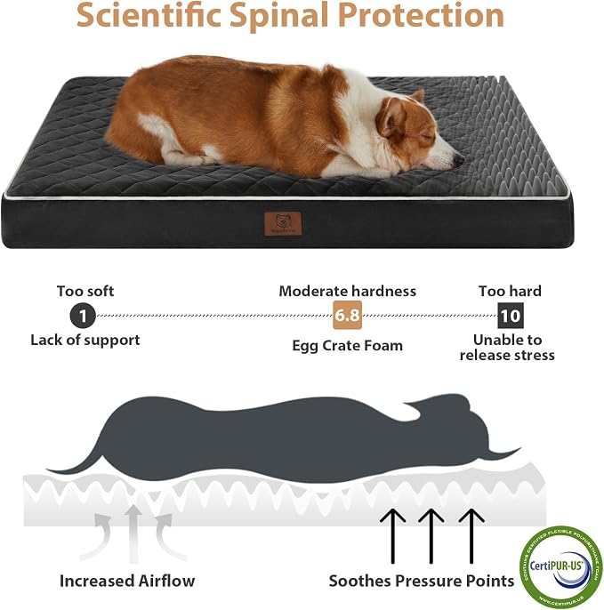 WNPETHOME Orthopedic Waterproof XL Dog Bed for Crate Cozy Sleep | Extra Large Washable Dogs Bed with Removable Cover, Multi-Needle Quilting Dogs XL Crate Bed for Relax , Black 41x27 Inch