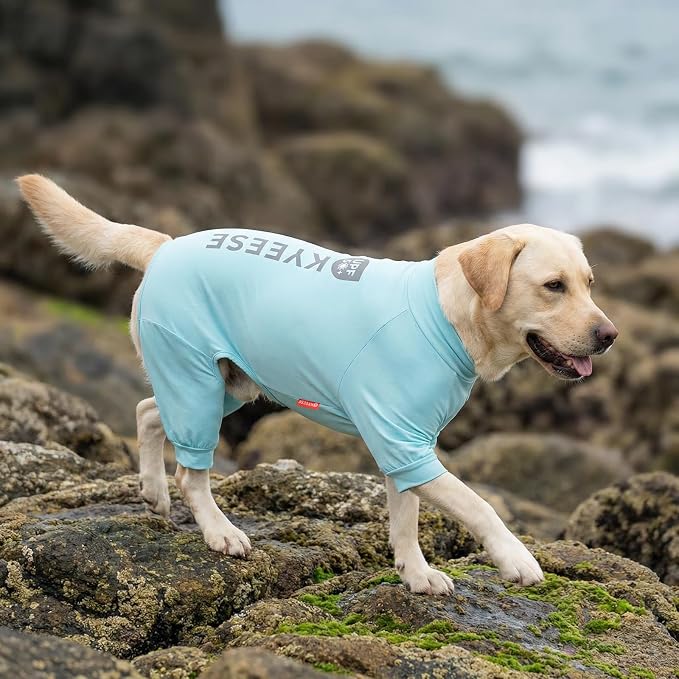 KYEESE UPF50+ Dog Sun Shirt for Large Dogs Cooling Onesie for UV Protection | Cooling Breathable Fabric, Reflective Design, Shedding Control, Skin-Friendly for Sensitive Dogs, Easy On/Off, Quick Dry