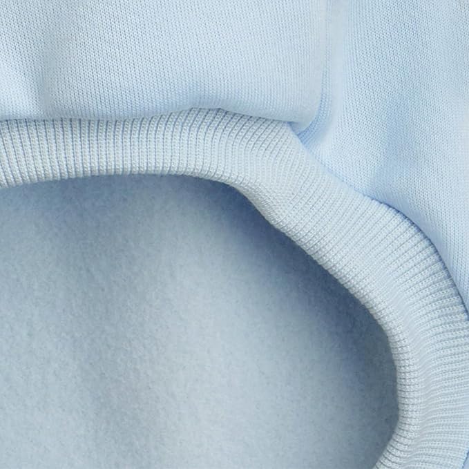 Puppy Sweater for Small Dogs Winter Pullover, Light Blue L | Elastic Cuffs Pet Clothes, Holiday Party Matching, Fall Winter Daily Outfit, Soft Breathable Machine Washable Sweatshirt