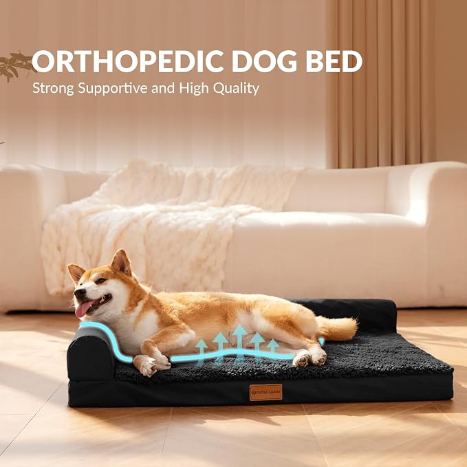 Patas Lague Orthopedic Large Dog Bed Washable Pet Sofa Bed 42''X28''Black | 2-Sided Bolster Egg-Crate Foam Dog Couch Large Sized Dogs, Waterproof Removable Washable Cover, Nonskid Bottom Pet Crate Mat