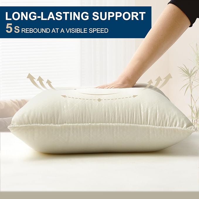 22 x 22 Throw Pillow Inserts with Lace Edge | Soft and Plush, Virgin Fiber Filling, Decorative Pillows for Couch Sofa Bed, Machine Washable - White, Pack of 2