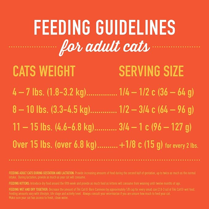 Tiki Cat Born Carnivore Indoor Health, Chicken & Turkey Meal, 6 lbs Bag | Crunchy Kibble Texture for Indoor Cats, Real Animal Protein, Non-GMO Ingredients, Supports Immune and Digestive Health