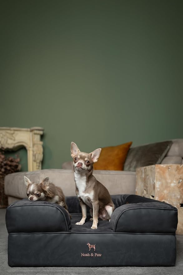 NOAH & PAW Dog Bed, 28x23x11 Inch, Orthopedic Dog Beds for Medium Size Pets, Eggshell Memory Foam Infused with Cooling Gel, Inner Cover, Water Resistant, Machine Washable (Faux Leather)