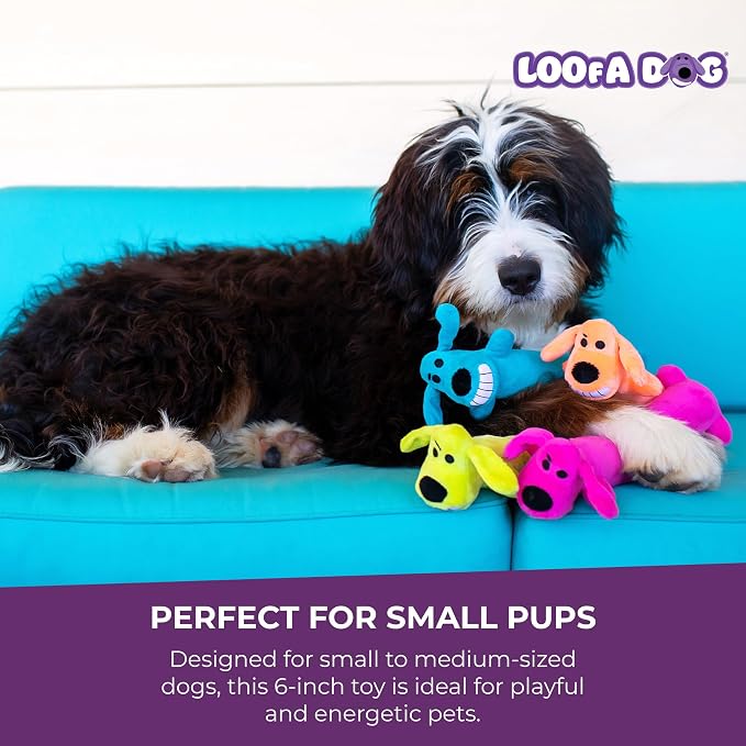 Multipet Original Loofa Dog Plush Toy - Squeaky Toy for All Dogs - Extra Soft Plush - Stuffed Animal Dog Toys for Playing (1 Count, 6”, Random Color Surprise)