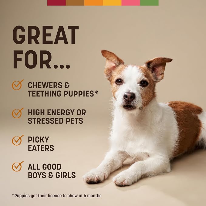 Earth Animal No Hide Dog Chews - Rawhide Free Small Rolls 2 Count Chicken | Small Rolls Chicken Flavored Natural Rawhide Free Long Lasting Dog Chews - Pet Treats for Small Dogs