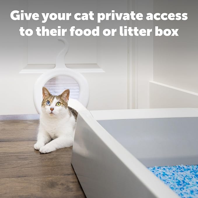 PetSafe Cat Corridor for Interior Doors, Cats Up to 20 lb | Keeps Dogs out of Litter Box, Food & Water, Paintable White Finish, Opening 7 1/2"W x 7 11/16"H
