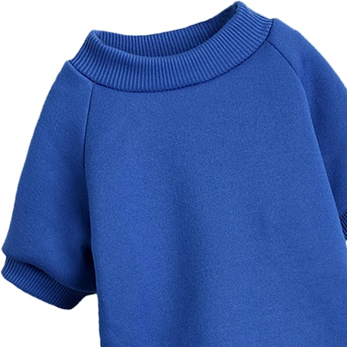 Soft Puppy Sweater for Small Dogs Winter Knit Pullover, Blue XS | Elastic Cuffs Pet Clothes, Holiday Party Matching, Fall Winter Daily Outfit, Soft Breathable Machine Washable Sweatshirt