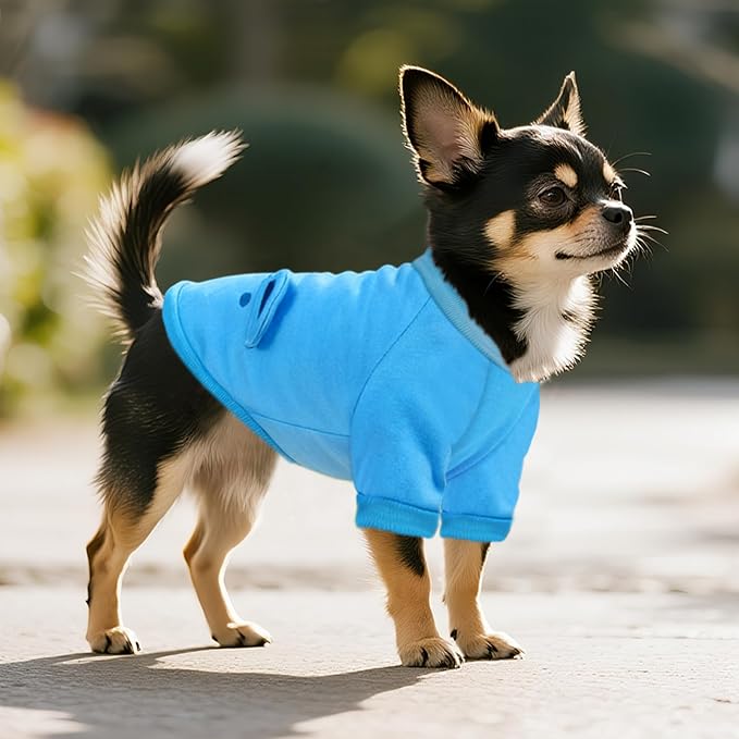 Blue Cute Dog Sweater Soft Winter Clothes for Small Dogs, S | Classic Blue Knit Pullover, Fall Winter Outfit, Elastic Cuffs, Holiday Party Matching, Machine Washable Sweatshirt for Pets