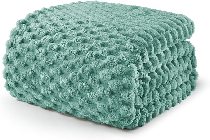 Exclusivo Mezcla 3D Fleece Queen Size Blanket for Bed, Celadon | Extra Soft Fuzzy Plush Lightweight Bed Blankets, Cozy Fluffy Decorative Blankets for All Seasons, 90x90 Inches