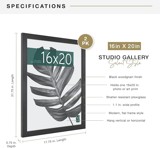 MCS Studio Gallery 16x20 Poster Frame Black Woodgrain Engineered Wood, Vertical & Horizontal Wall Hanging Large Picture Frame for Photos, Posters & Art Prints (2-Pack)