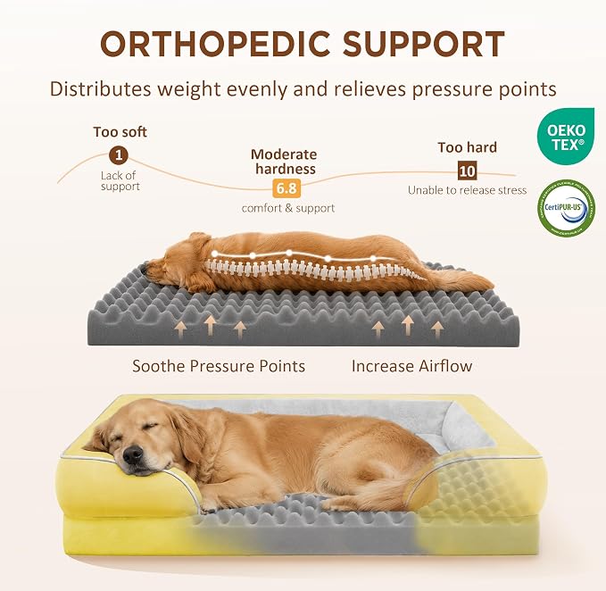Comfort Expression Waterproof Orthopedic Dog Bed for Extra Large Dogs | Supportive Egg Crate Foam XL Pet Bed with Removable Bolster, Dog Couch with Washable Cover & Non-Slip Bottom, 42x30 Inch