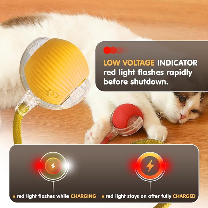 Rocfish Durable Interactive Cat Toys for Indoor Cats (Yellow, 01)