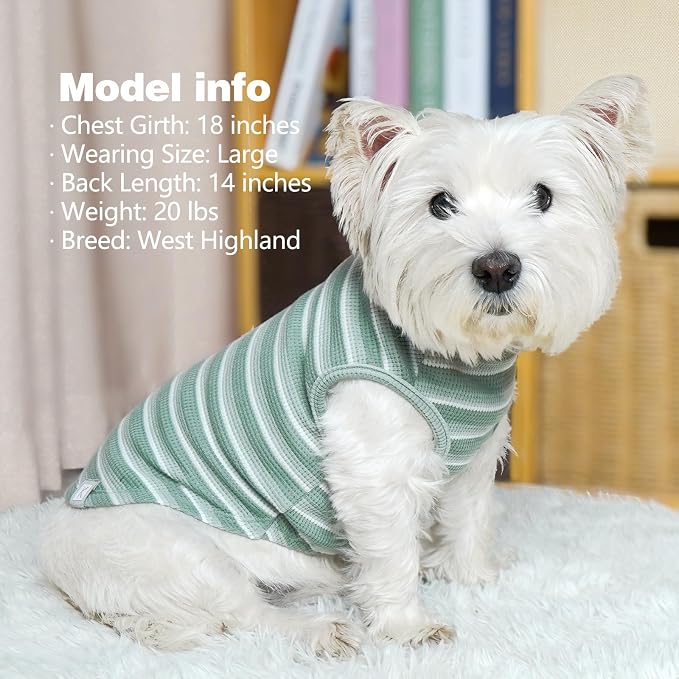 KYEESE 2Pack Waffle Dog Shirt for Small Dogs Striped Dog Sweater Tank Top | Cozy Warmth, Lightweight & Breathable, Gentle on Sensitive Skin, Stretchy & Free to Move, Comfortable Daily Wear