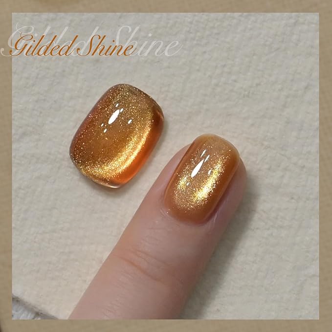 GAOY Jelly Golden Cat Eye Gel Nail Polish, 16ml Glitter Holographic Nail Polish with Magnet, Reflective Translucent UV Gel, 2955 Gilded Shine