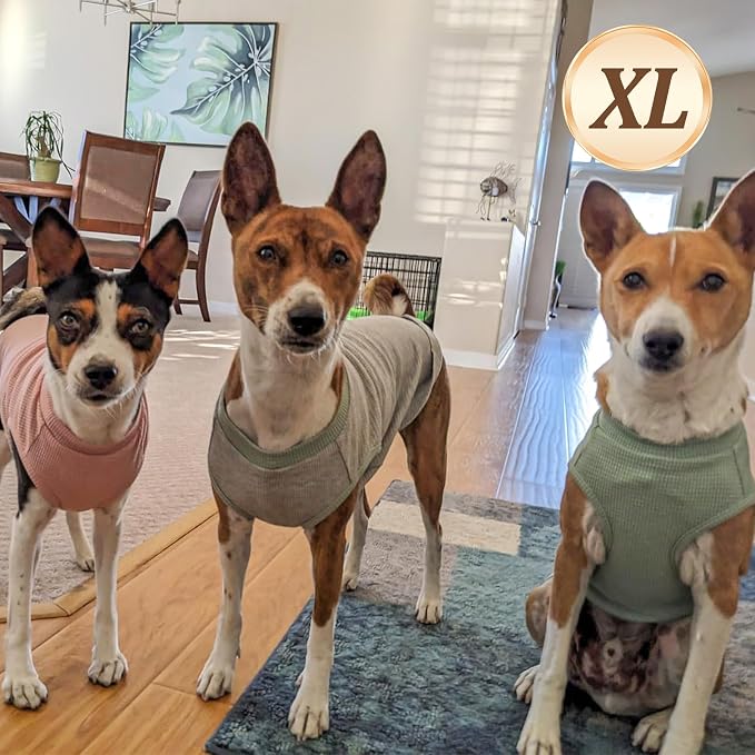 KYEESE 2Pack Dog Shirts Waffle for Small Dogs Stretchy Dog T-Shirts Lightweight Dogs Tank Top Sleeveless Pet Vest Breathable, X-Large, Purple+Grey | Cozy Warmth, Lightweight & Breathable, Gentle on Sensitive Skin, Stretchy & Free to Move, Comfortable D...