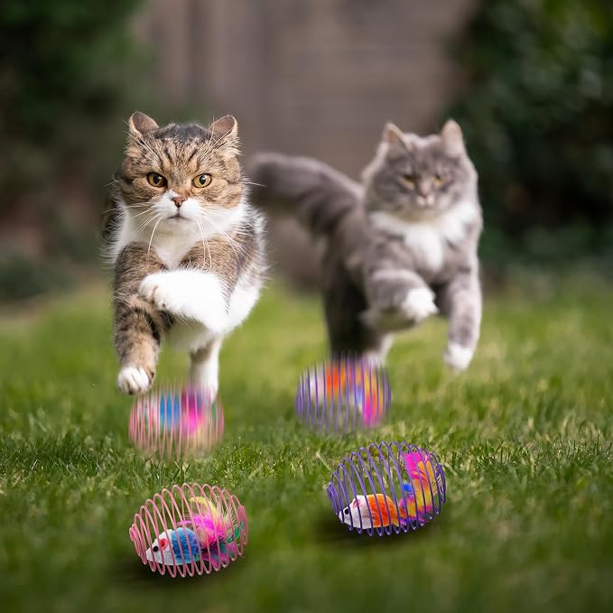 Jecery 5 Pcs Cat Toys Spring,Cute Mouse,Bright Color