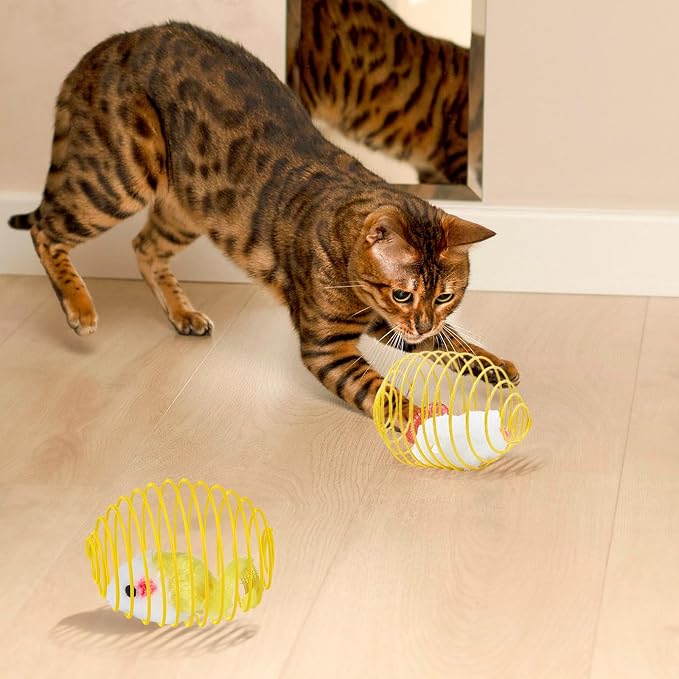 Jecery 5 Pcs Cat Toys Spring,Yellow Mouse,Yellow