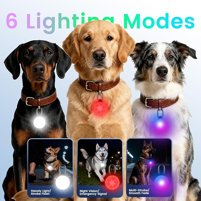 2-in-1 GPS Tracker Dog Light | Smart Tracking Pet LED Light for iOS Only