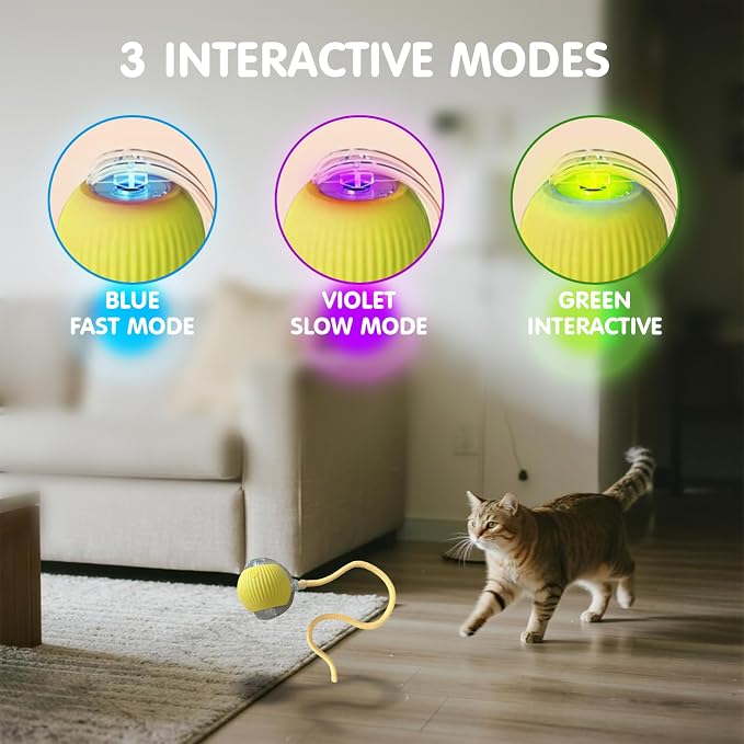Rocfish Durable Interactive Cat Toys for Indoor Cats (Yellow, 01)