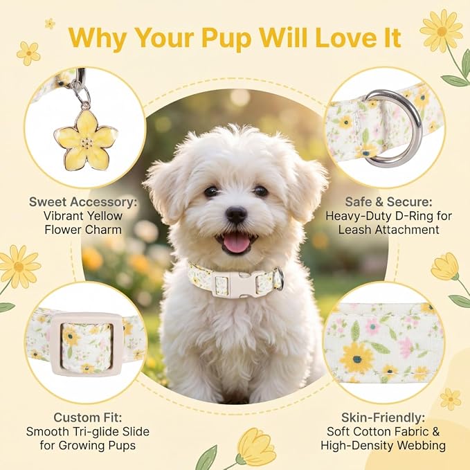 Dog Collar, Yellow Dog Collar Girl, Spring Summer Design Pet Collar with Cute Flower Charm, Quick Release Buckle and Durable Fabric, Suitable for Small, Medium and Large Dogs