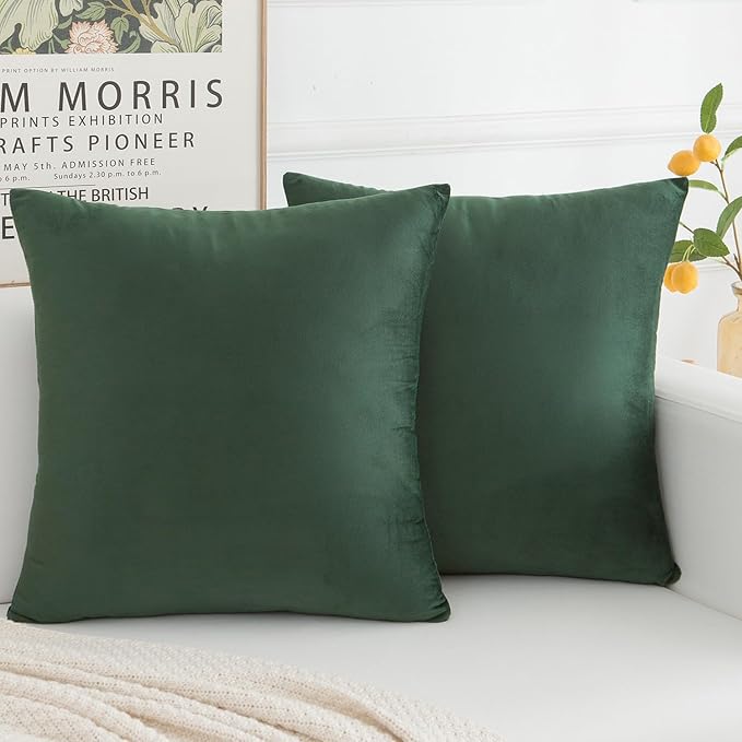Velvet Decorative Throw Pillow Covers, Soft Square Cushion Case Home Decor for Living Room Couch Bed Sofa, Set of 2 Pack, Dark Green, 20x20 Inch