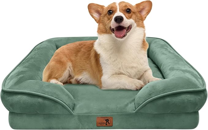 Spotted Play Orthopedic Dog Bed with Sides - Sofa Beds for Medium Dogs, Supportive Foam Pet Couch Bed with Washable Removable Cover, Waterproof Lining and Non-Slip Bottom, Green - M