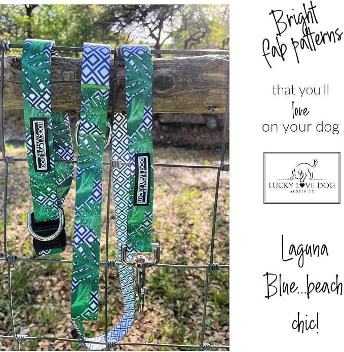 Lucky Love Dog Martingale Collar & Leash Set No Slip – Blue Laguna, Small