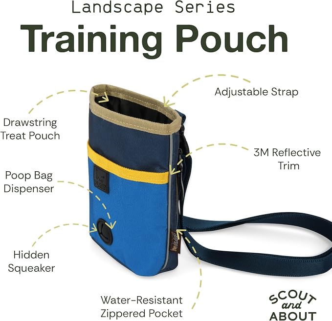 P.L.A.Y. Scout & About Deluxe Training Treat Pouch with Poop Bag Dispenser - 3 Way Wear, Detachable & Adjustable Strap, Reflective Strips, Water-Resistant Back Zipper Pocket, Squeaker (River)