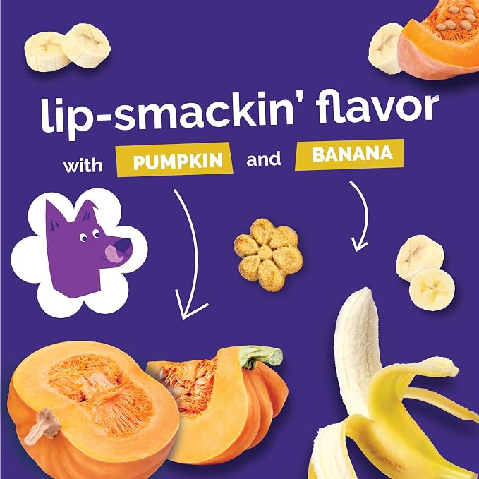 Fruitables Baked Dog Treats, Low Calorie Treats, Pumpkin & Banana, 7oz | Healthy Dog Treats, Training Treats, Crunchy Dog Biscuits, Limited Ingredient Recipe, Healthy Puppy Snacks, Made in USA