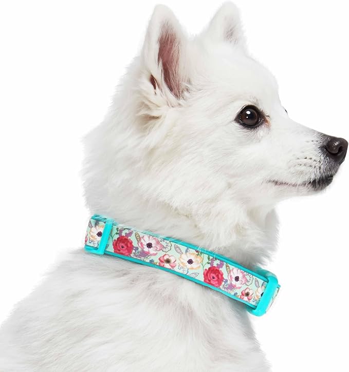 Blueberry Pet Soft & Comfy Peony Flower Print Neoprene Padded Adjustable Dog Collar, Minty Green, Large, Neck 18"-26"