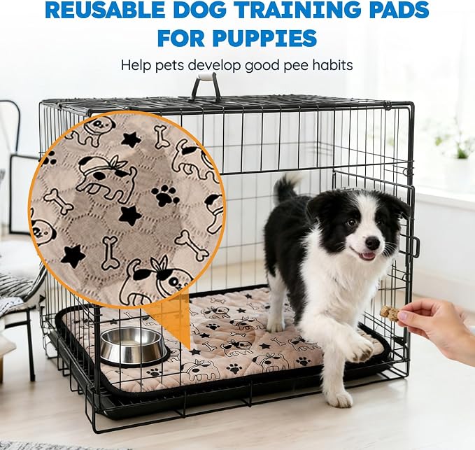 2 Pack Washable Pee Pads for Dogs, Absorbent Reusable Puppy Training Pads, Leakproof, Non-Slip, Waterproof Cat Doggie Pad Pet Potty Mat for Indoor&Outdoor, Whelping, Crate, Coffee 20"x28"