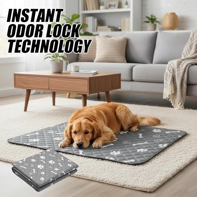 Puppy Pad with Pheromones, Training Pads for Dogs, 30x30cm Blue Bone Design, Includes 3 Random Color Bell Balls, Ideal for Puppy Potty Training, Senior Pet Care, and Travel