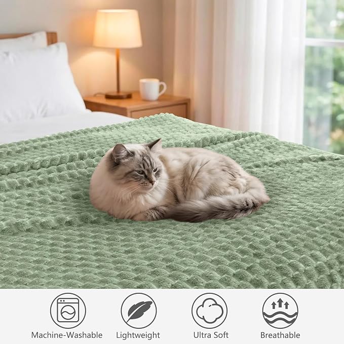 Vessia Flannel Fleece Throw Blanket(50x60 inch), 3D Jacquard Sage Green Fuzzy and Warm Blanket for Couch, Sofa, Bed, Chair, 300GSM Super Soft Touch Cozy Lightweight Throw for All-Season Home Decor