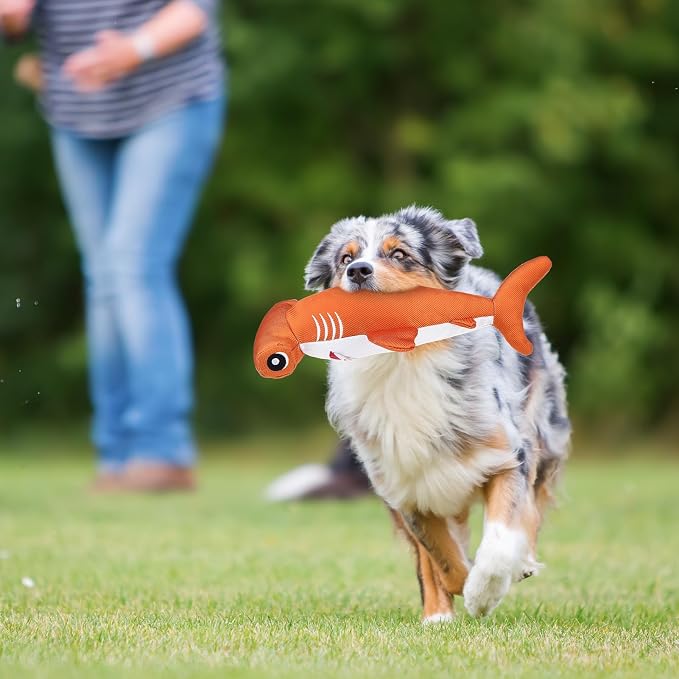 EXPAWLORER Floating Dog Toys Squeaky - 2 Pack Dog Water Toys for Pool Lake Beach, Pup Chew Toy Summer Outdoor Interactive Enrichment Play for Non-Aggressive Small Medium Large Breeds, Shark